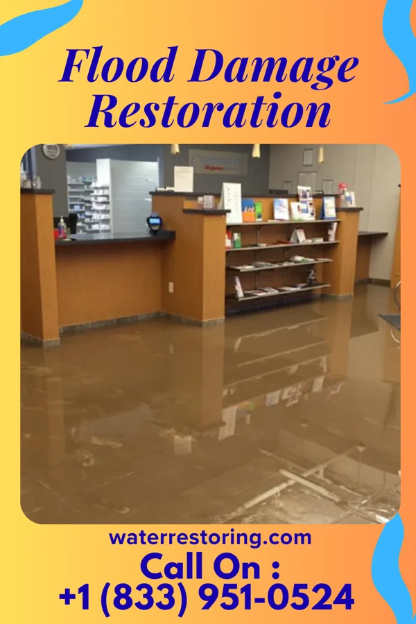 Flood Damage Restoration in Ko Olina, HI