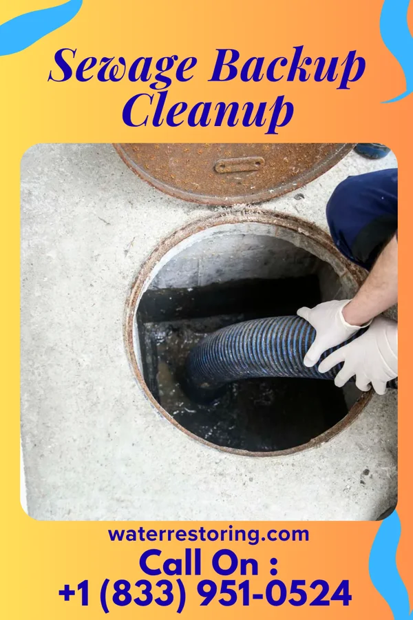 Sewage Backup Cleanup in Ko Olina, HI