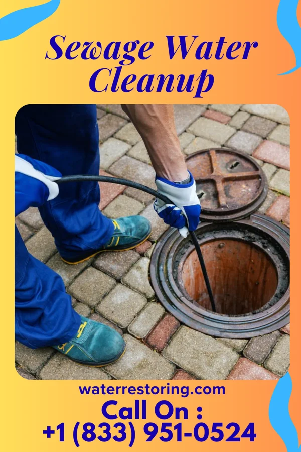 Sewage Water Cleanup in Ko Olina, HI