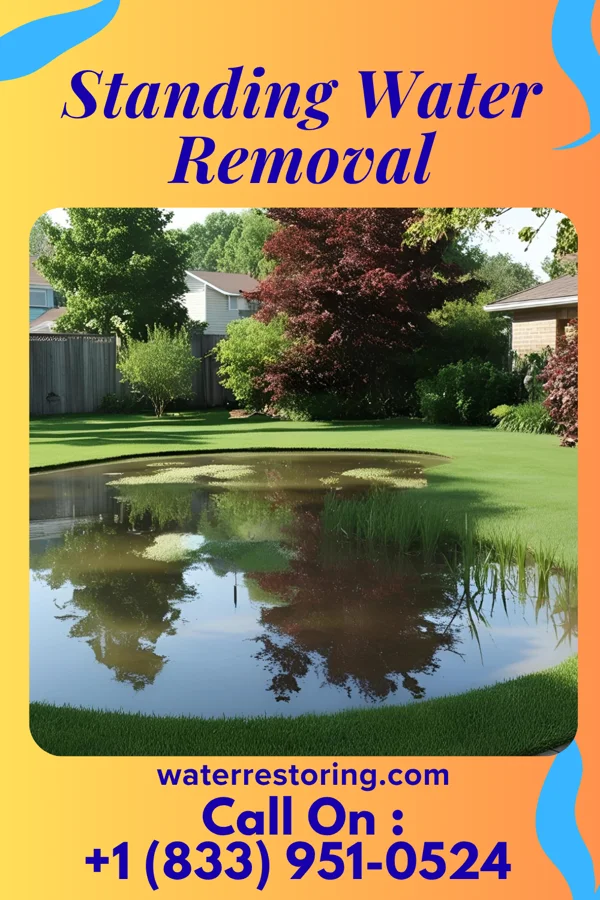 Standing Water Removal in Ko Olina, HI
